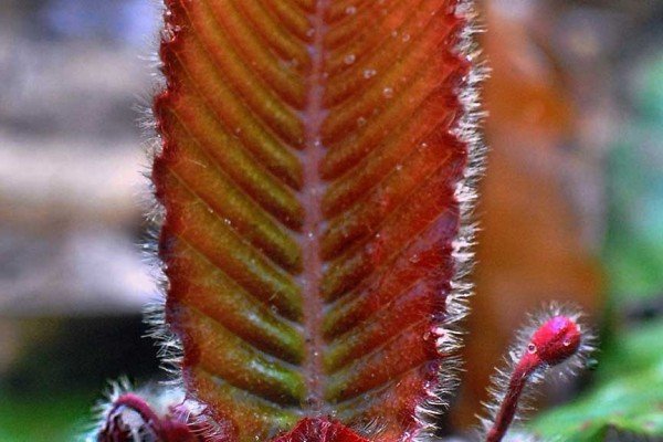2nd-Award