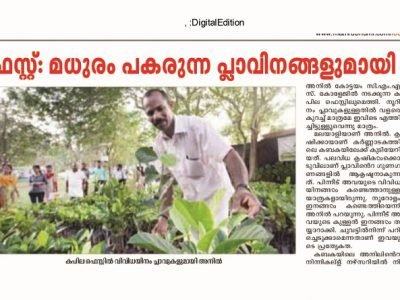 Mathrubhumi copy